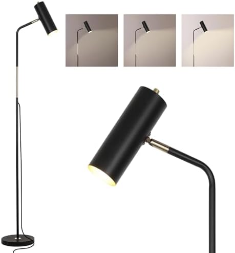 LALISU Floor Lamp, Industrial Floor Lamps for Living Rooms & Bedrooms