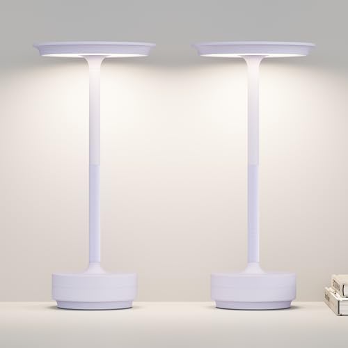 LED Rechargeable Cordless Table Lamp 2P Light Portable Lights
