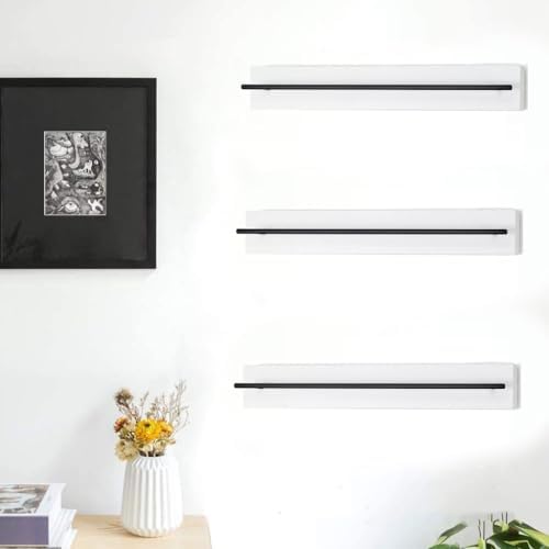 TANG SONG Wall Mounted Sunglass Eyeglass Display Storage Hanger Organizer