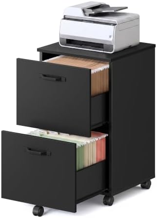 VASAGLE CUSTOS Collection - 2-Drawer File Cabinet, Small Rolling Filing Cabinet for Home Office, Printer Stand, for A4, Letter-Size Documents, 15.7 x 16.5 x 27.6 Inches, Matte Black UOFC040B16V2S