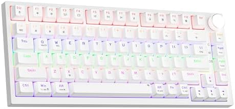 Newmen GM326 Mechanical Keyboard,75% Percent Gaming Keyboard,Wired Keyboard