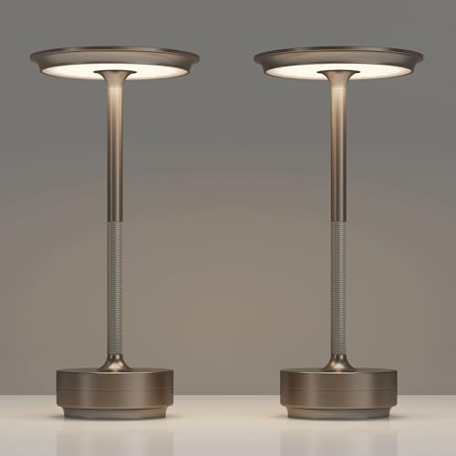 TBBGA 2 Pack Rechargeable Table Lamps Cordless, 5000mAh Outdoor Table Light