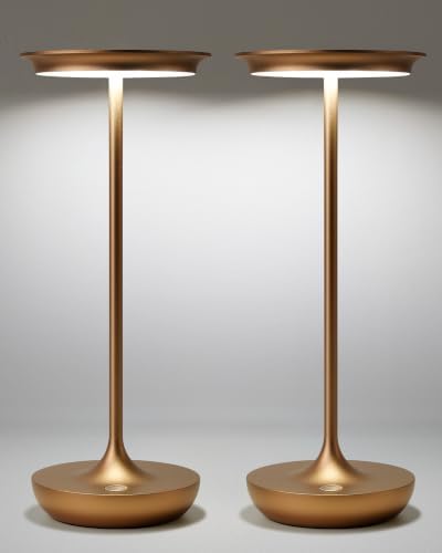 2 Pack LED Cordless Table Lamp 5000mAh Rechargeable Table Light