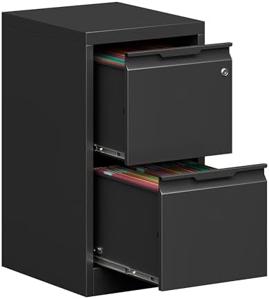 Metal Filing Cabinet With Lock, Vertical 2 Drawer Cabinet for Home Office/Legal/Letter/A4, Lockable for Hanging Files - Assembly Required/Black