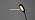 VAVOFO Clip On Book Light for Bed Kids, 7 LED Reading Light with 9-Level Warm Cool White Daylight, Eye Care Lamp with Power Indicator for Bookworms (White)