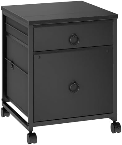 HOOBRO File Cabinet, 2-Drawer Vertical Mobile Office Cabinet, Rolling Printer Stand, for A4/Letter Size Files, Nonwovens Drawer, for Home Office, Black BB21WJ01