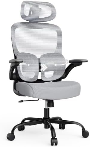 Ergonomic Office Desk Chair, Adjustable Dual Lumbar Support & Thick Seat