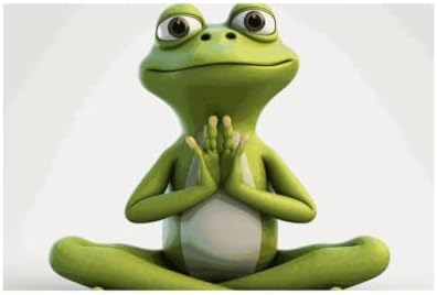 Funny Frog Doing Yoga Placemats 12x18 Inch Farmhouse Table Mats