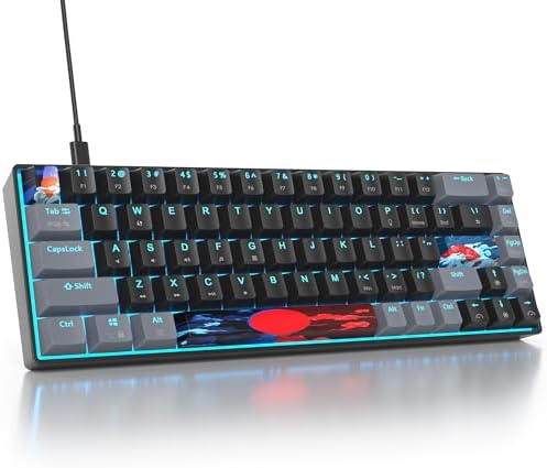 Owpkeenthy Portable 65% Percent Mechanical Gaming Keyboard, Mini Wired Ultra Compact RGB 68 Keys Office Keyboard with Red Switch Backlit for PC/PS5/XBOX(Dark/ 68 Red Switch)