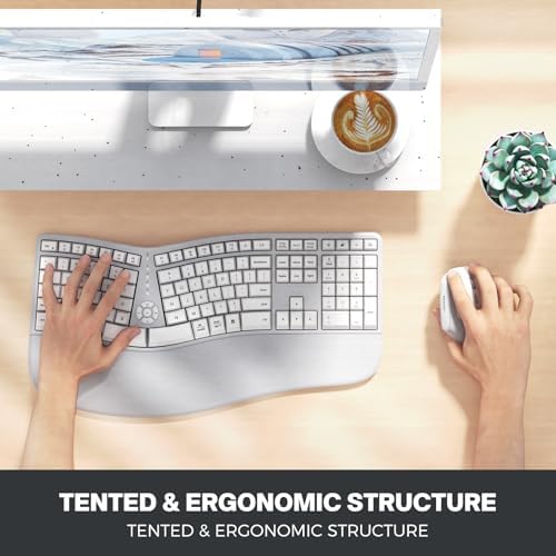 MEETION Ergonomic Keyboard Mouse Combo, Split Design, Vertical Mouse, Gray
