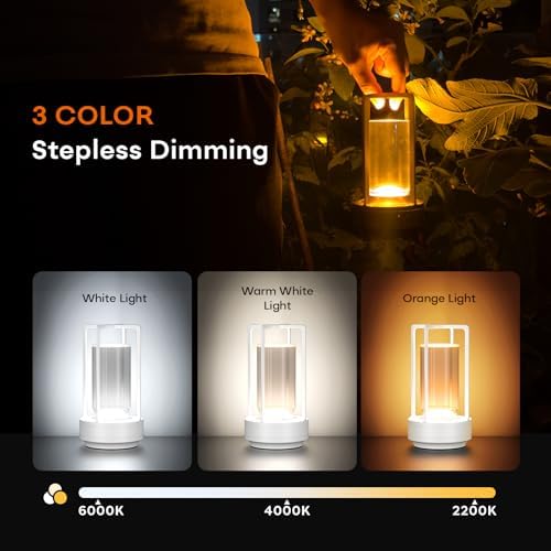 Rechargeable Cordless Small Metal Table Lamp, Stepless Dimming, 3-Color