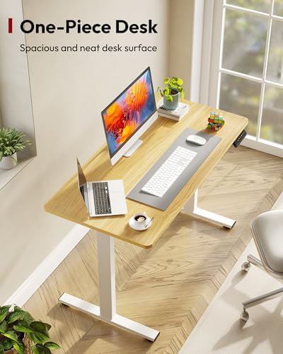 SANODESK One-Piece Electric Height Adjustable Standing Desk 48''x 24''