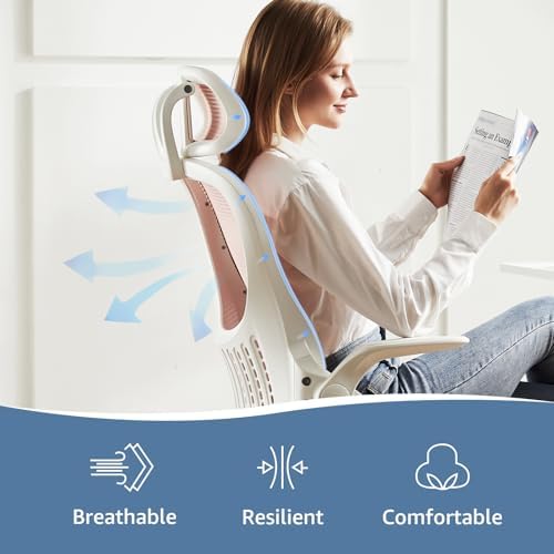 DUMOS Ergonomic Office Chair, Desk Computer Chair, Lumbar Support