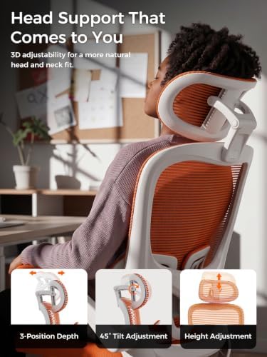Ergonomic Office Desk Chair, Adjustable Dual Lumbar Support & Thick Seat
