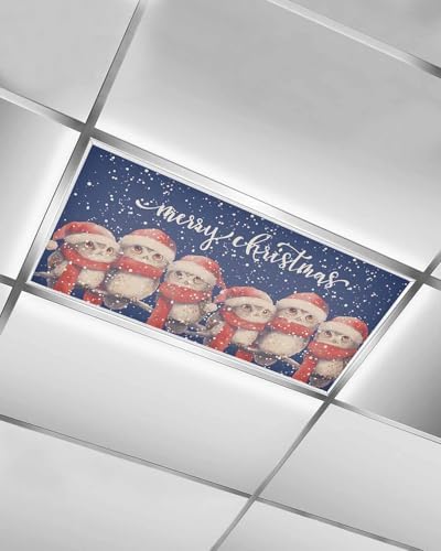 Christmas Blue Magnetic Fluorescent Light Covers for Ceiling Lights 2 x 4 Feet,Vintage Owl Snowflakes Watercolor Grey Office Classroom Kitchen Drop Ceiling Light Covers Filters Shade Panel 1 Pack