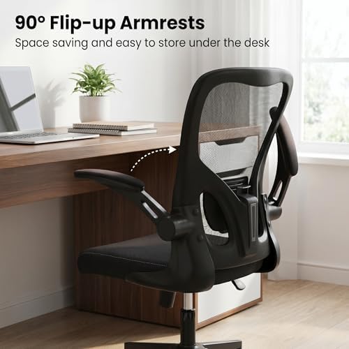 Ergonomic Office Desk Chair, 90°-125° Tilt Back Home Desk Chair with 360° Swivel & Mute Wheels, High Back Mesh Computer Chair for Adults with Lumbar Support, 330 LBS Capacity (01Black)