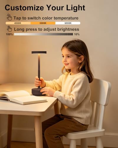 LED Cordless Lamp 5000mAh Table Lights Rechargeable 2-Pack Rust