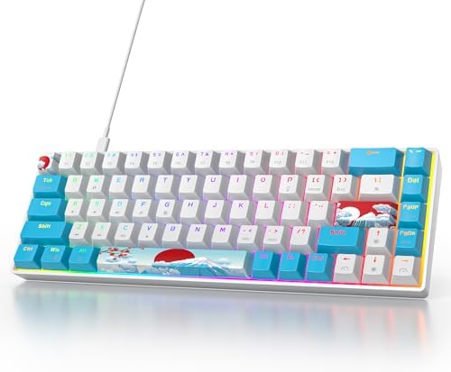 Owpkeenthy Portable 60% Mechanical Gaming Keyboard, Ultra Compact RGB Wired 65 Percent Mini Office Keyboard Backlit with Red Switch for PC/PS5/XBOX(Blue/ 68 Red Switch)