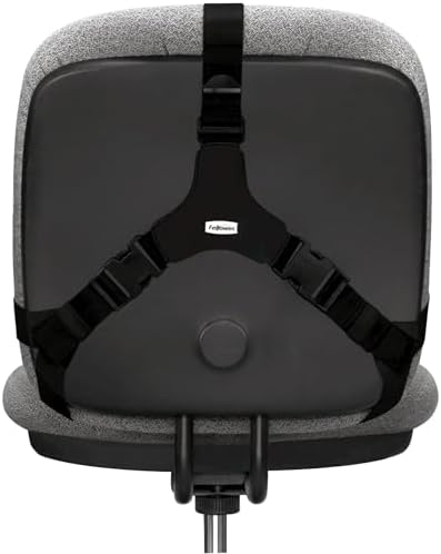 Fellowes Professional Series Back Support, Black (8037601), True (Pack of 2)
