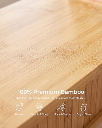 Bamboo Dual Monitor Stand with Storage, 42 Inch Desk Shelf Riser
