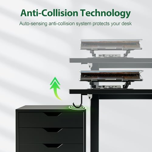 Agilestic 63 * 24 Inch Height Adjustable Electric Standing Desk, Black