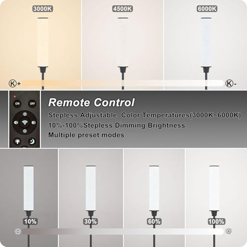 Nukanu Floor Lamp with Remote Control,Black,Linen lampshade
