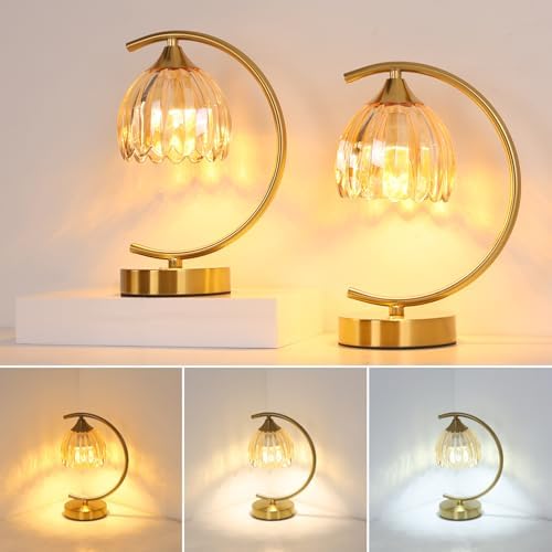 Shenmoyl Set of 2 Tulip Table Lamp, 5200mAh Cordless Touch Control Table Lamp with 3 Color Temps & Stepless Dimming, Rechargeable Battery Table Lamp for Living Room, Bedroom, Shelf (Amber Tulip)