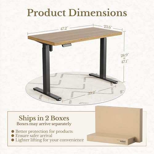 ErGear 48 X 24 Inch Height Adjustable Electric Standing Desk, Natural Oak