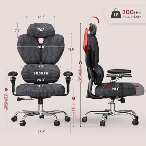 SEDETA S100 Ergonomic Office Chair with Lumbar Support, 6D Armrests