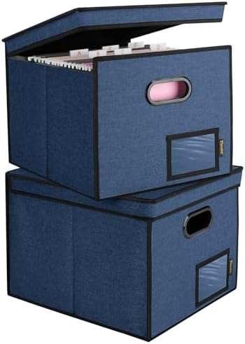 BALEINE File Organizer Box with Lid, Collapsible Hanging File Storage Box