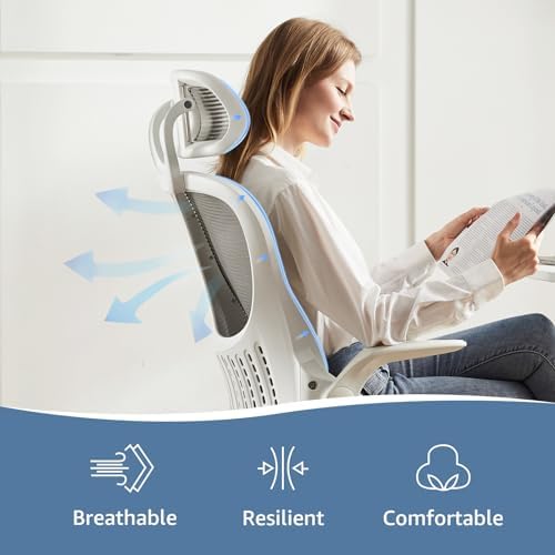 DUMOS Ergonomic Office Chair, Computer Desk Chair, Lumbar Support