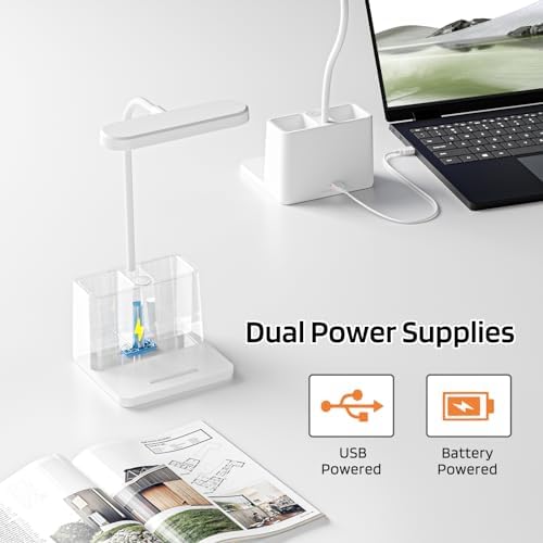 AXX Small Desk Lamp, Rechargeable Cute Table Light for Kids Teens