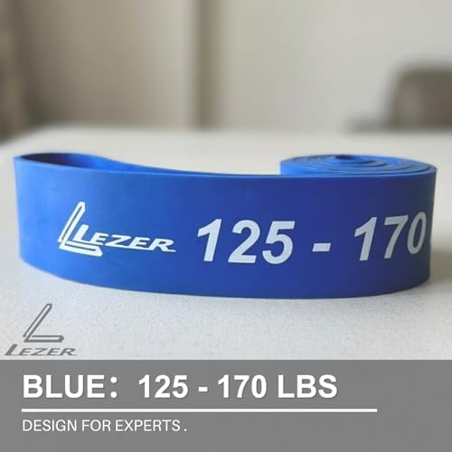 LEZER Resistance Bands - Pull Up Bands for Home Gym Fitness, Stretching, Physical Therapy & Training - Includes Instruction