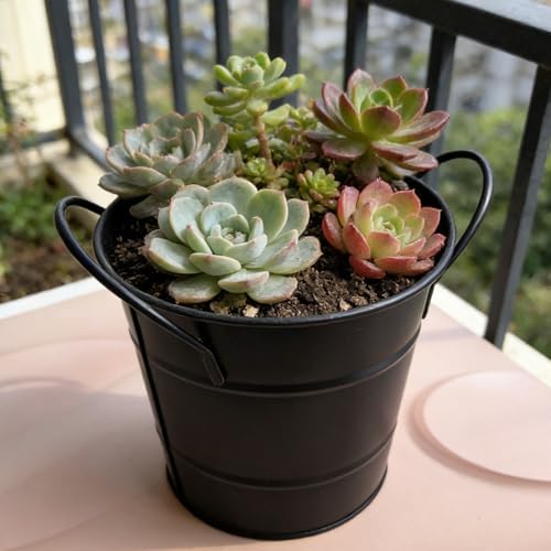 Fengtaiyuan T9，Matte Black Metal Storage Bucket, 5.95.14.7 inches Multi-functional Desktop Organizer for Home Office Garden (T19)