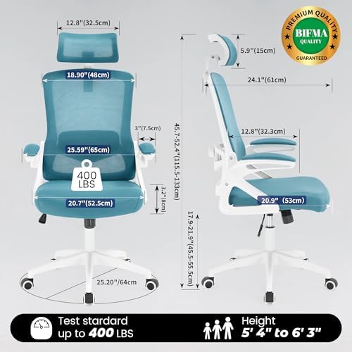 Fizzin Ergonomic Office Chair, Desk Chair with Adjustable Lumbar Support