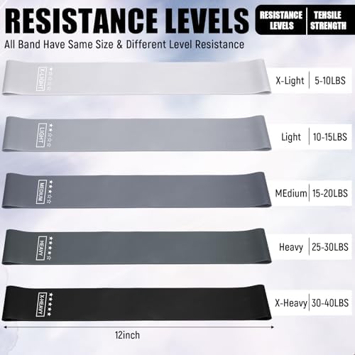Deekin 20 Pcs Resistance Bands, 10-115 Lbs, 5 Levels