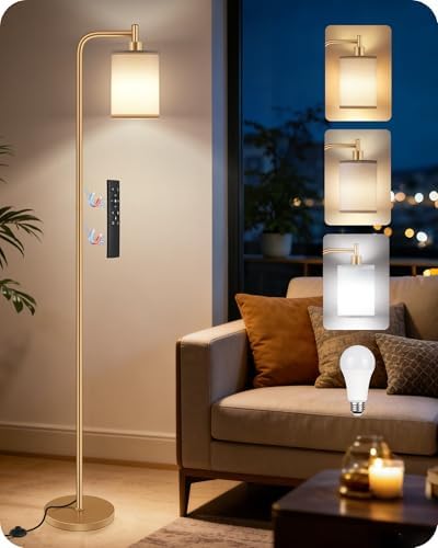 Dimmable Floor Lamp for Living Room with Remote & 10W Bulb