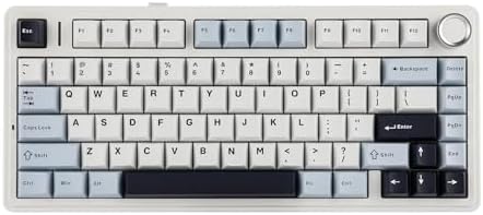 EPOMAKER x Aula F75 Gasket Mechanical Keyboard, 75% Wireless Hot Swappable Gaming Keyboard with Five-Layer Padding&Knob, BT/2.4GHz/USB-C, RGB (Light Blue, LEOBOG Reaper Switch)