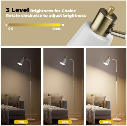 LALISU Floor Lamp Industrial Floor Lamps Reading Farmhouse Standing Lamp