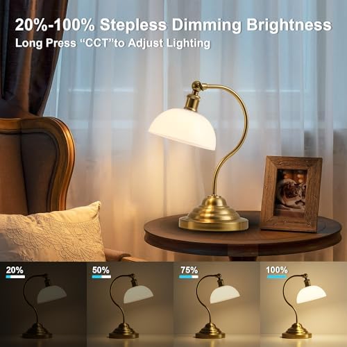 Cordless Table Lamp, Battery Operated Vintage Desk Light, Brass & White