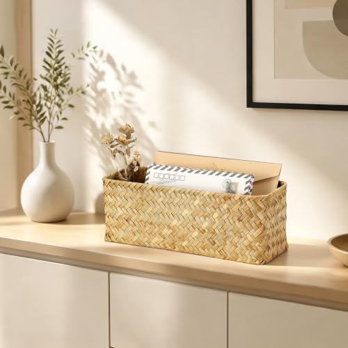 BTSKY 2 Slots Mail Organizer Countertop, Seagrass Mail Holder for Home