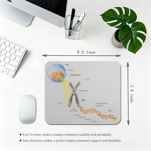 9.5x7.9 Inch Office/Gaming Mouse Pad, Cell Chromosome DNA Gene Genome Study Double Helix Evolution Science Research Design, Cute Anti-Slip Mat for Desk Decor