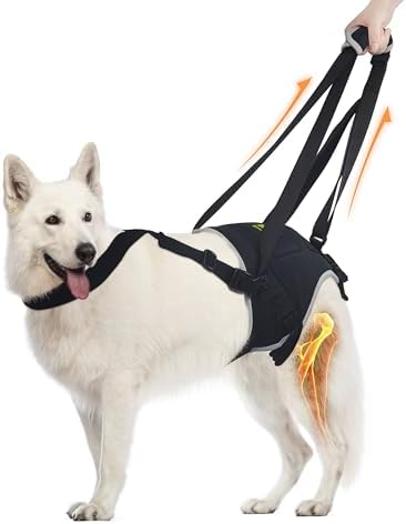 Dog Lifting Harness for Large Dogs, Hip Mobility Aid