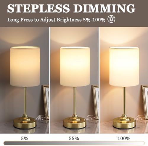Rechargeable Table Lamp, Battery Operated, Touch Control, Brass, 1 Pack