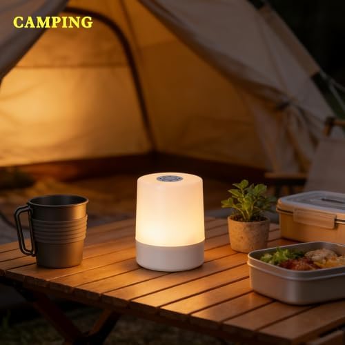Cordless LED Desk Lamp, Touch Control Dimmable USB Rechargeable