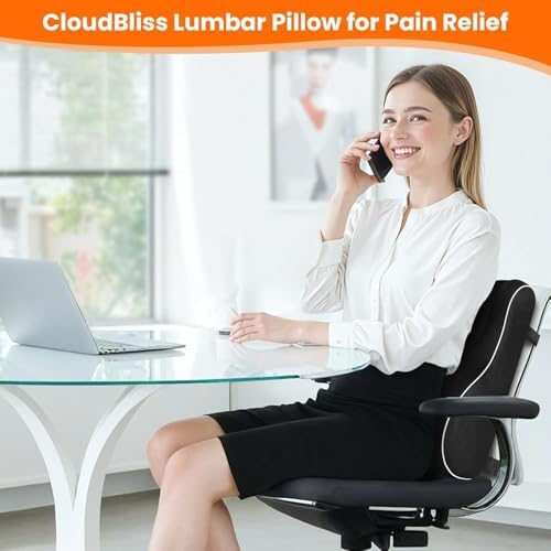 CloudBliss Lumbar Support Pillow, Memory Foam for Office, Standard, Black