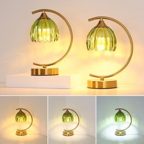 Shenmoyl Set of 2 Tulip Table Lamp, 5200mAh Cordless Touch Control Table Lamp with 3 Color Temps & Stepless Dimming, Rechargeable Battery Table Lamp for Living Room, Bedroom, Office(Green Tulip)