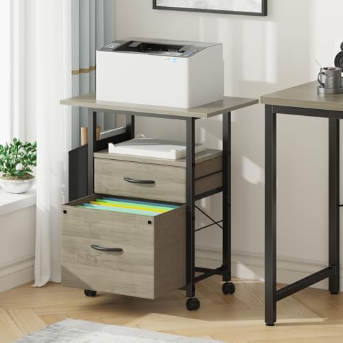 GYIIYUO 2 Drawer File Cabinet 24''W, Mobile Filing Cabinet, Printer Stand