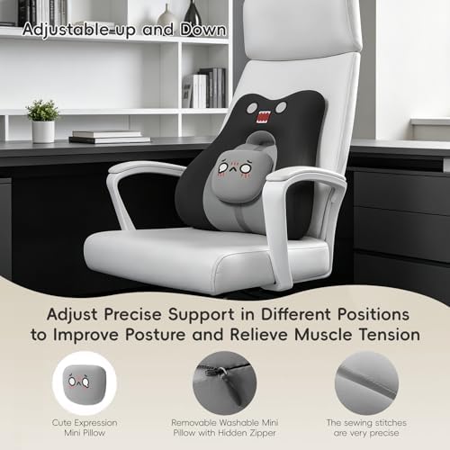 BEBAS Ergonomic Memoery Foam Lumbar Support Pillow for Car & Office, Black