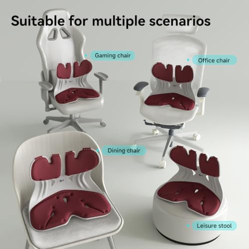 BKT Ergonomic Seat Cushion - Lumbar Support Pillow for Office Chair & Floor